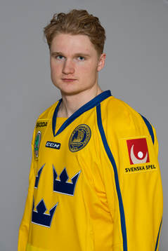 Carl Grundström