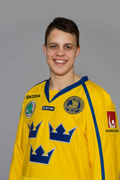 Joel Eriksson Ek