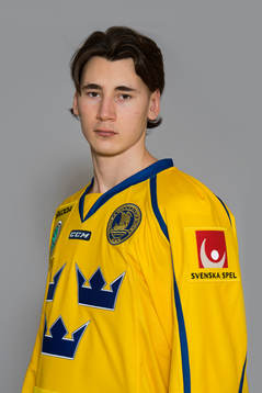 David Bernhardt