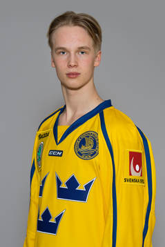 Elias Pettersson