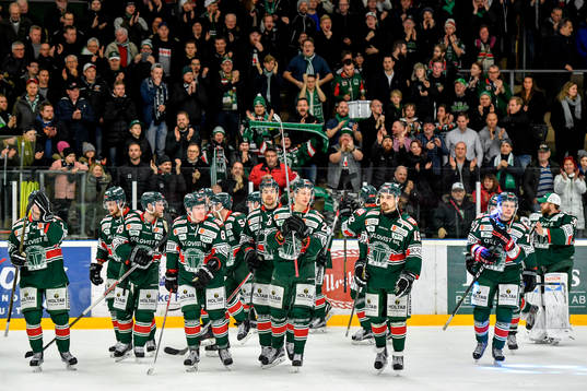 Tingsryds spelare jublar med publiken