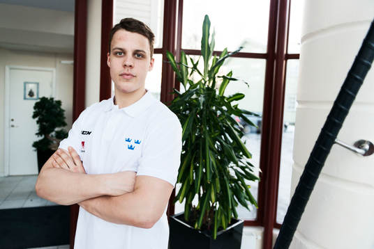 Joel Eriksson Ek