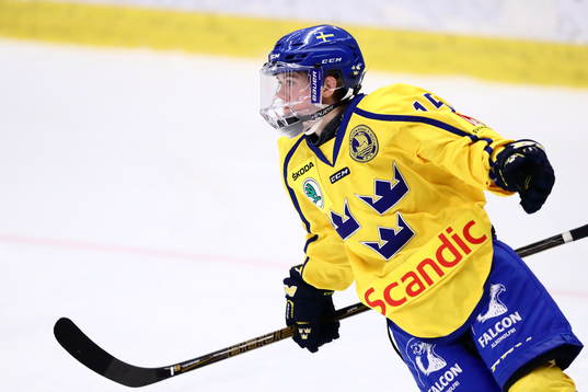 Sveriges Lisa Johansson jublar