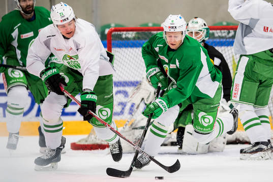 Gustav Olhaver och Jesper Williamsson