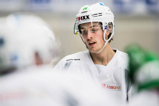 Johan Zarwel