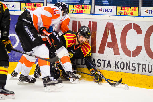 Brynäs Johan Alcén