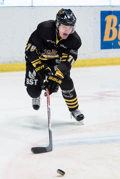 s Max Lindholm