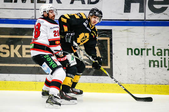 Skellefteås Henrik Hetta