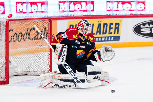 Djurgårdens målvakt Adam Reideborn