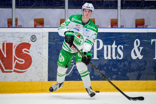 Rögles Johan Zarwel