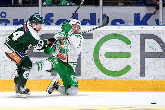 Färjestads Milan Gulas