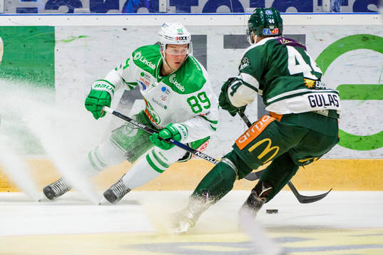 Rögles David Åslin