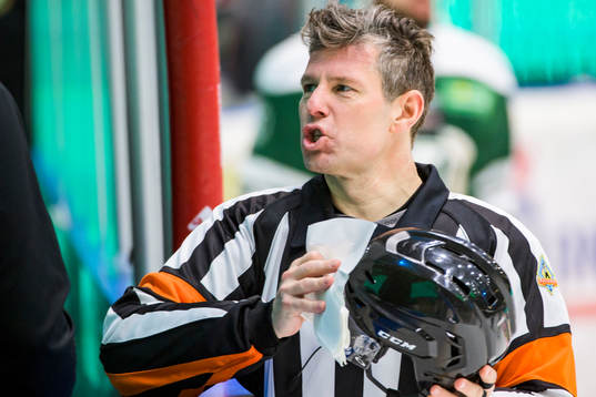 Domare Wolmer Edqvist