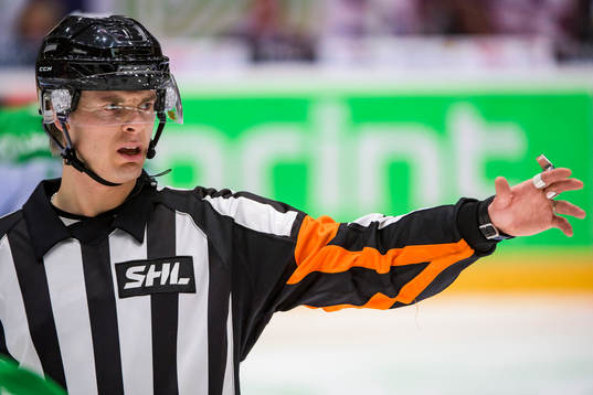Domare Mikael Andersson