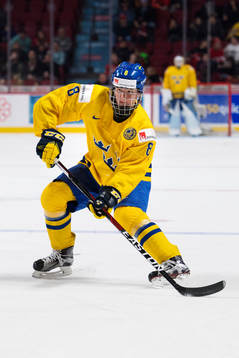 Sveriges Rasmus Dahlin
