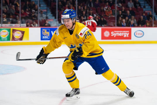 Sveriges Jens Lööke