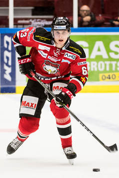 Malmö Redhawks Fredrik Händemark