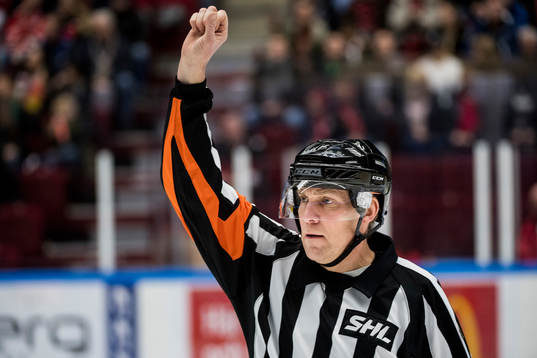 Domare Morgan Johansson
