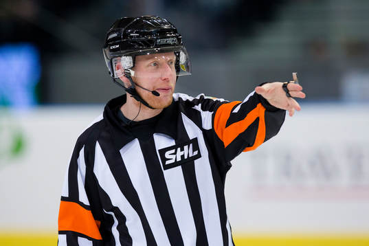 Domare Mikael Holm