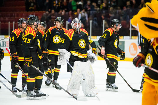 Brynäs målvakt David Rautio