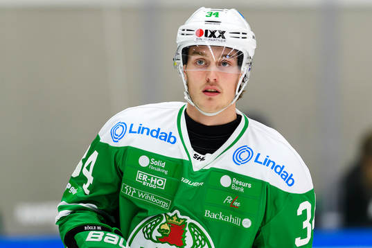 Rögles Johan Zarwel