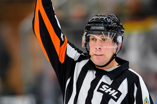 Domare Morgan Johansson
