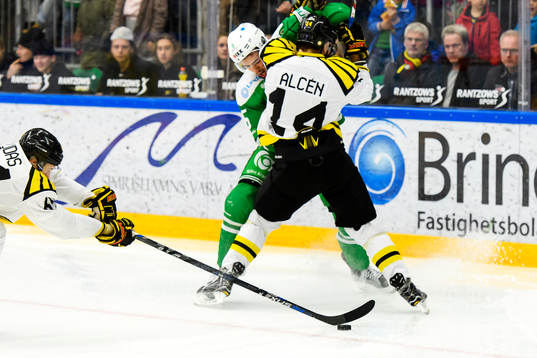 Rögles Alen Bibic