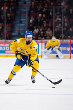Sveriges Rasmus Dahlin