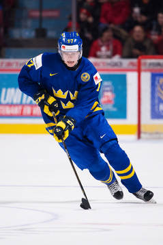 Sveriges Fredrik Karlström
