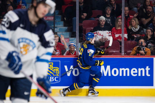 Sveriges Alexander Nylander jublar