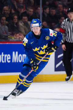 Sveriges Jens Lööke