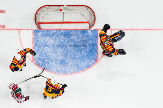 Djurgårdens Matt Anderson, Ville Varakas och målvakt