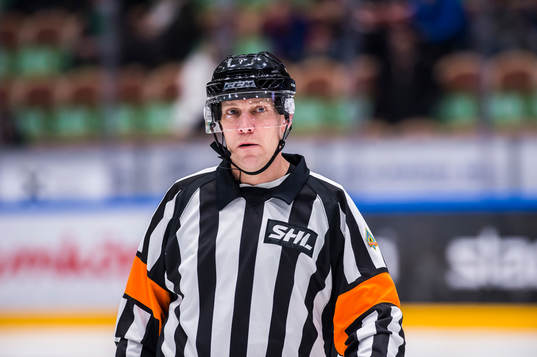 Domare Morgan Johansson