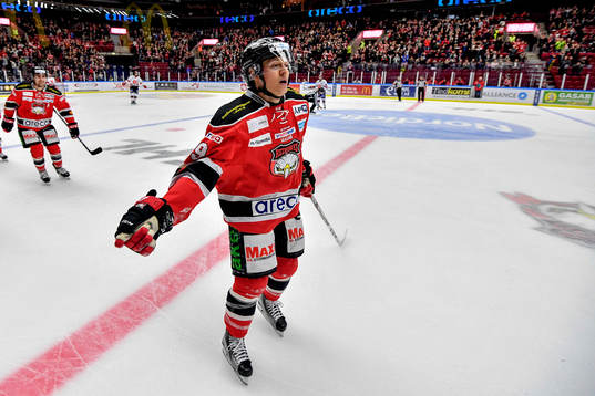Malmö Redhawks Rhett Rakhshani jublar