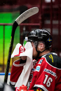 Malmö Redhawks Magnus Häggström deppar i båset