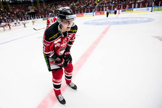 Malmö Redhawks Fredrik Händemark har skadat handen och