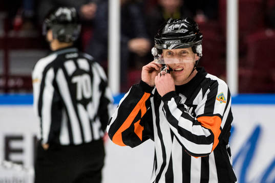 Domare Mikael Holm