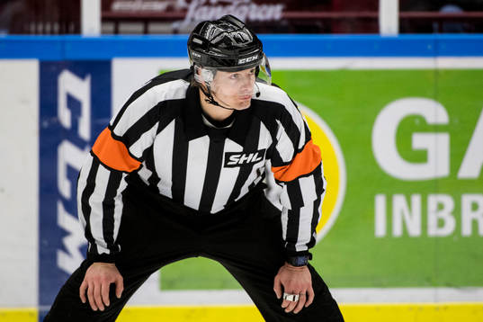 Domare Mikael Andersson