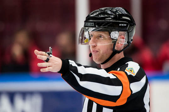 Domare Mikael Holm