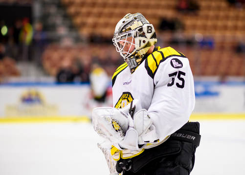 Brynäs målvakt David Rautio på uppvärmningen
