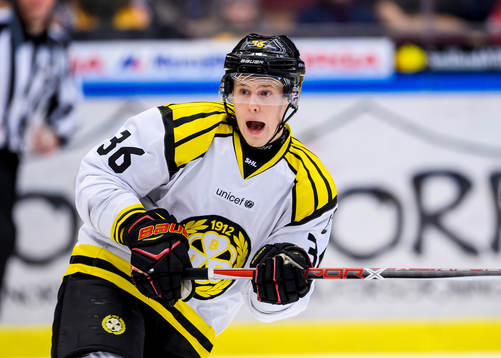 Brynäs Linus Ölund