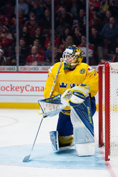 Sveriges målvakt Felix Sandström deppar