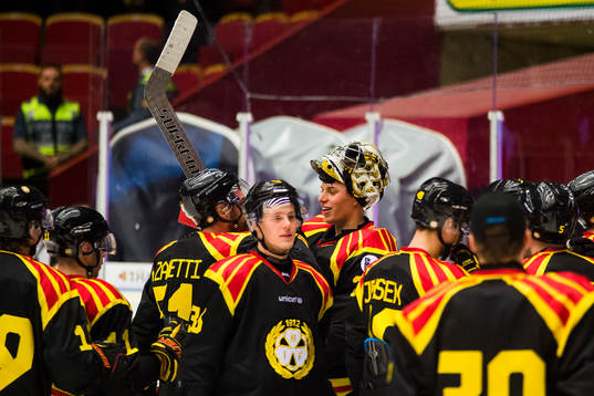 Brynäs målvakt Jonas Johansson jublar