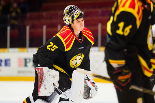 Brynäs målvakt Jonas Johansson jublar