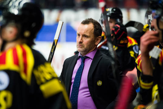Brynäs tränare Thomas Berglund