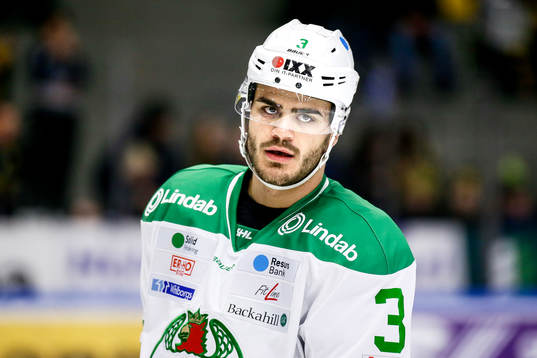 Rögles Almen Bibic