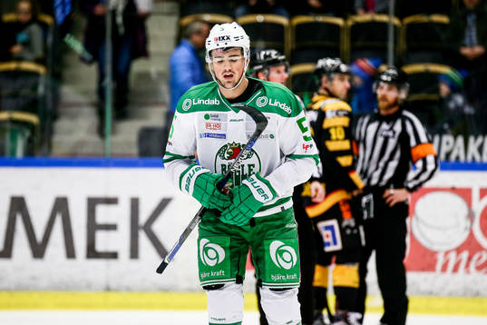 Rögles Alen Bibic  deppar