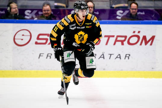 Skellefteås Henrik Hetta