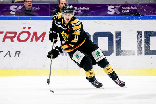 Skellefteås Henrik Hetta