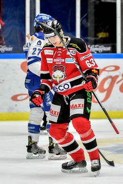 Malmö Redhawks Fredrik Händemark jublar